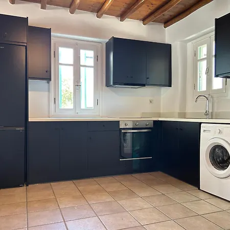 Mykonos 2 Bedroom House With Swimming Pool 奥诺斯